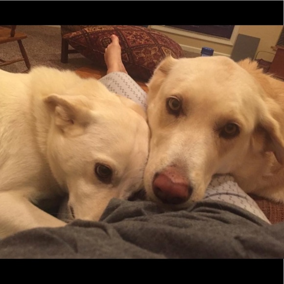 Welcome to Rebecca’s Closet!  💐 - Picture 5 of 7